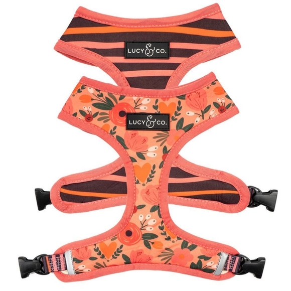 Lucy & Co.  XS Dog Harness - Picture 1 of 8